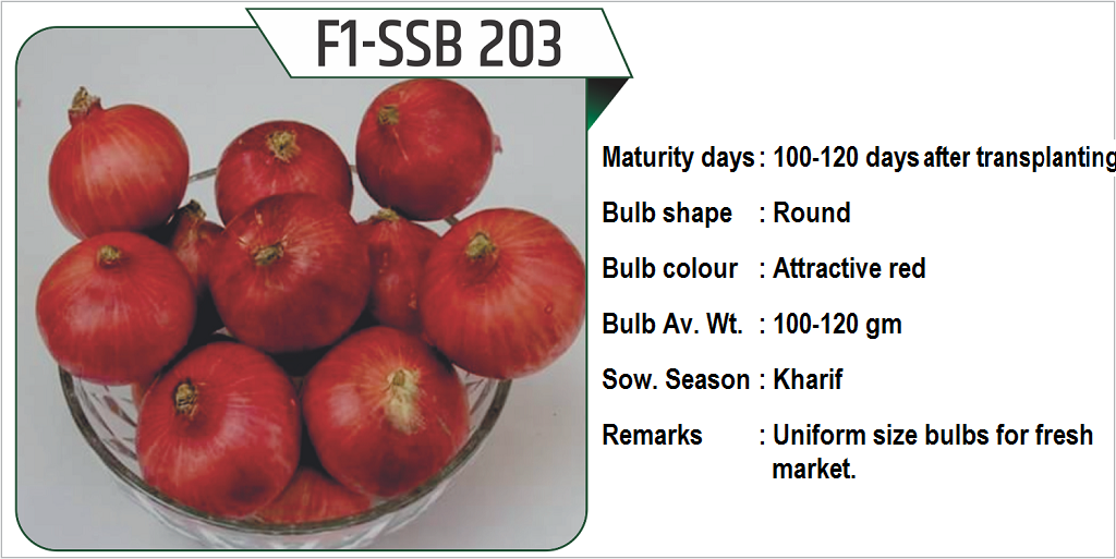 F1 SSB-203